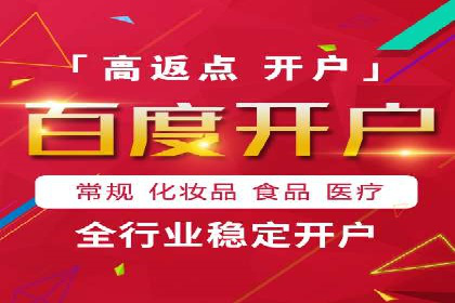 从小白到高手：百度竞价赚钱全记录